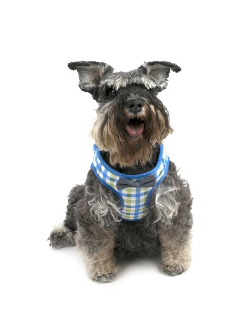 Vibrant Life Blue and Green Plaid Bow Tie Harness Size Small